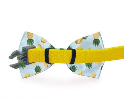 Zig Zag Dog Bow Tie